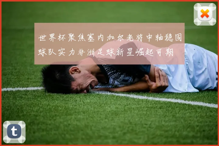 世界杯聚焦塞内加尔老将中轴稳固球队实力非洲足球新星崛起可期